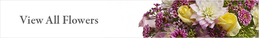 Send All Types of Flowers with Nature's Wonders Florist