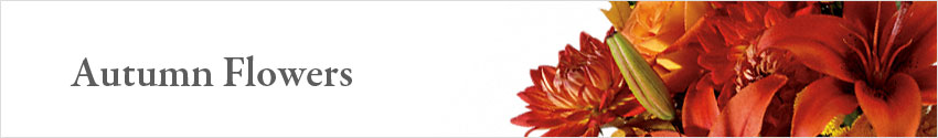 Send Autumn Flowers with Nature's Wonders Florist