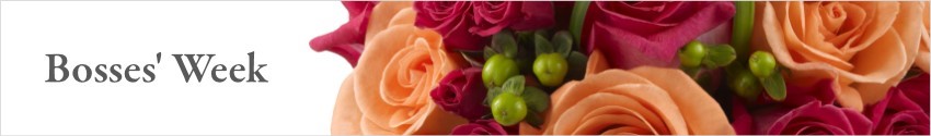 Send Bosses' Day Flowers and Gifts with Nature's Wonders Florist