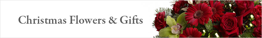 Send Christmas Flowers and Gifts with Nature's Wonders Florist