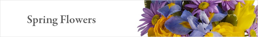 Send Spring Flowers with Nature's Wonders Florist