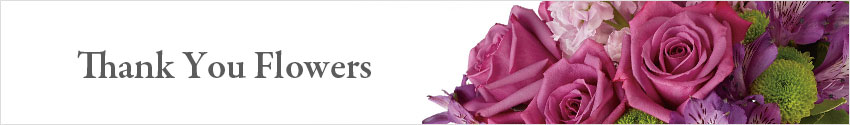 Send Thank You Flowers with Nature's Wonders Florist