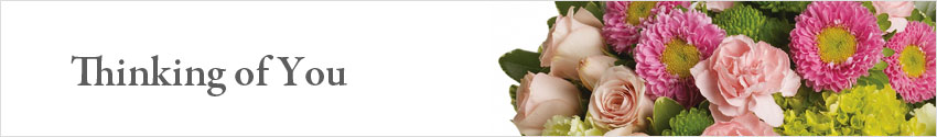 Send Thinking of You Flowers with Nature's Wonders Florist