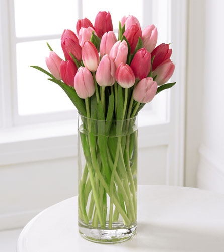 FTD's Premium Tender Tulips Bouquet