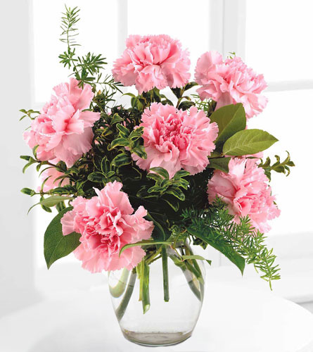 Carnations